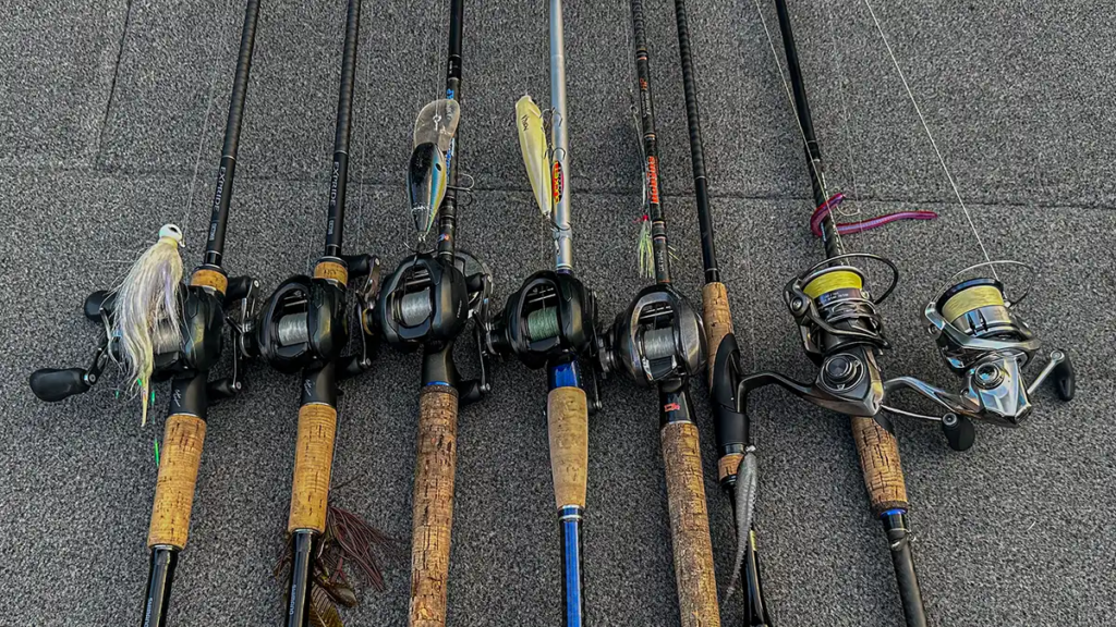 fishing rods and reels
