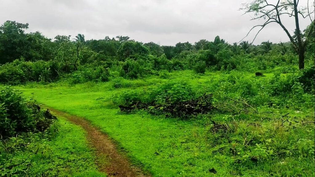 farm land for sale in Goa