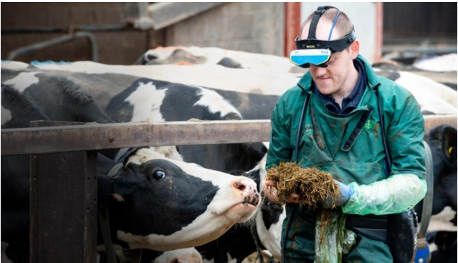 Critical Success Factors: Why Your Veterinary Pharmaceutical Supplier Choice Defines Practice Excellence