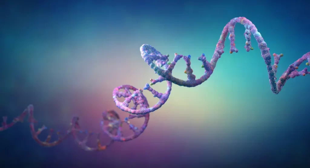 Gene Expression Analysis